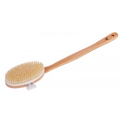 Brosse de Bain courbée