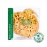 Coffret Eponge Nat. Méditérranée 15 cm